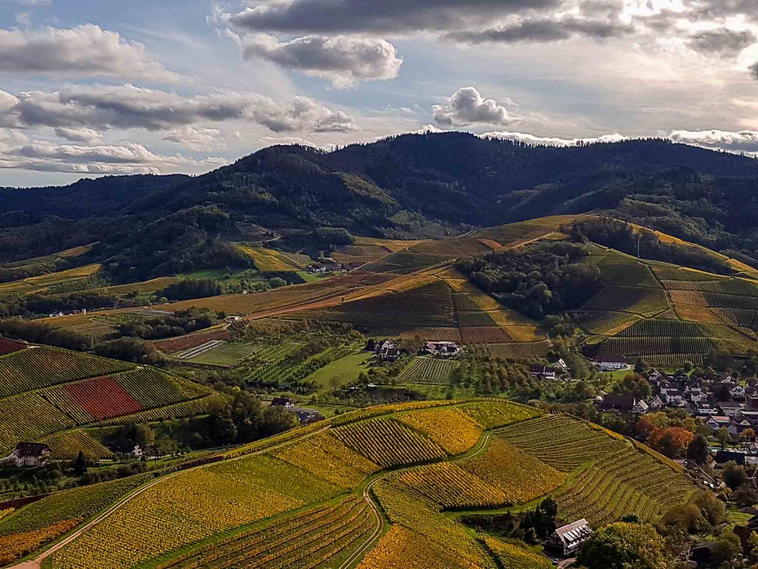 Durbach route des vins