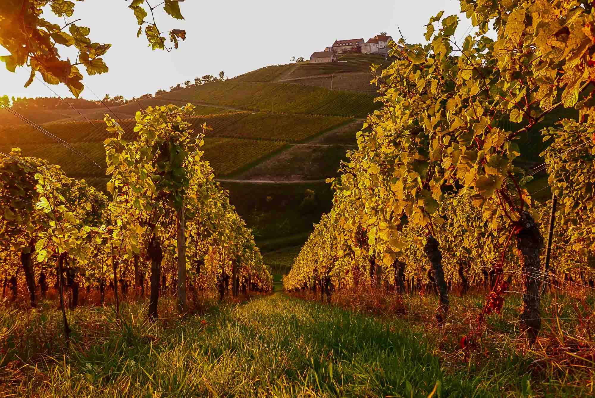 Durbach route des vins