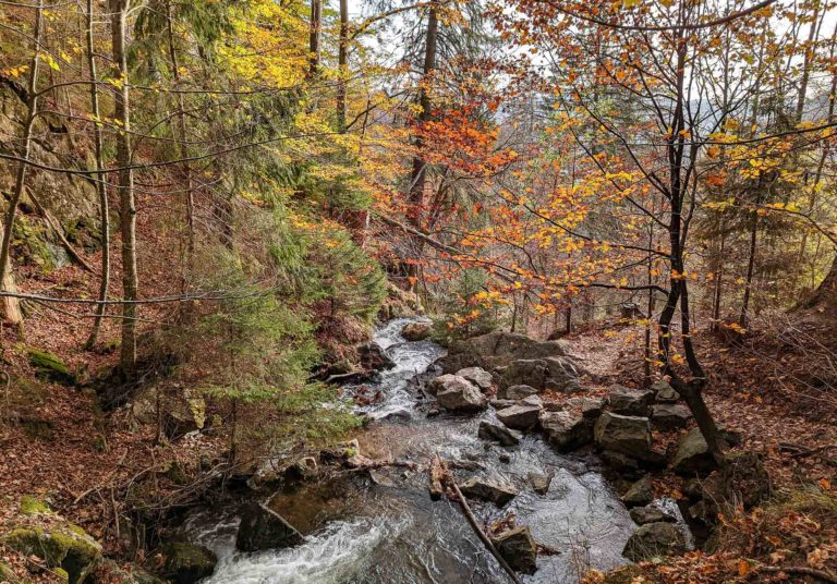 randonnée cascade todtnau