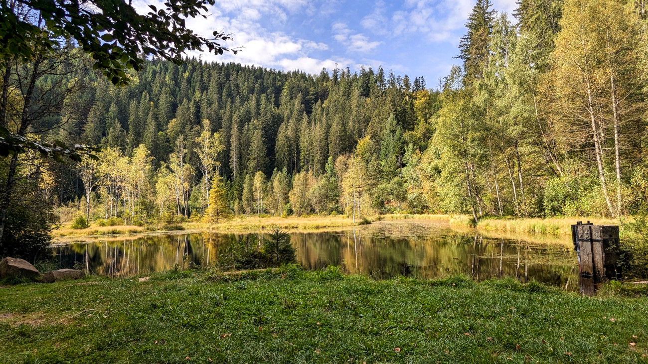 plateforme panoramique du lac Ellbach