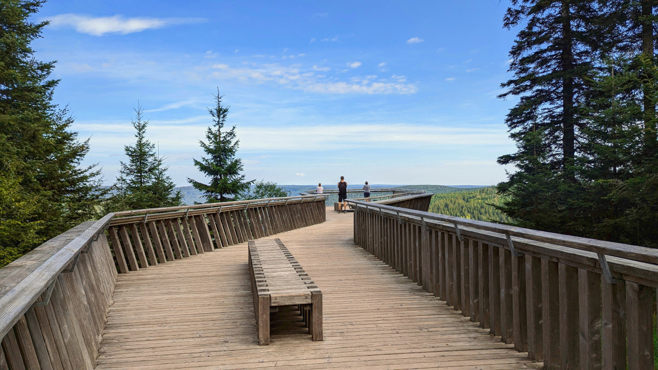 plateforme panoramique du lac Ellbach