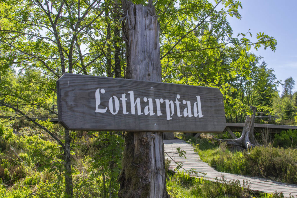 sentier du lothar forêt-noire