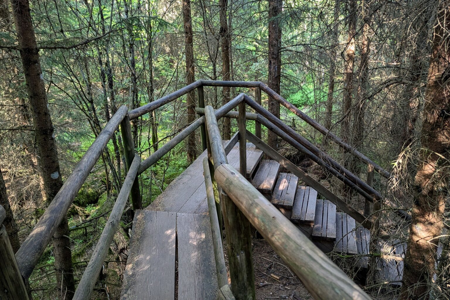 sentier du lothar forêt-noire