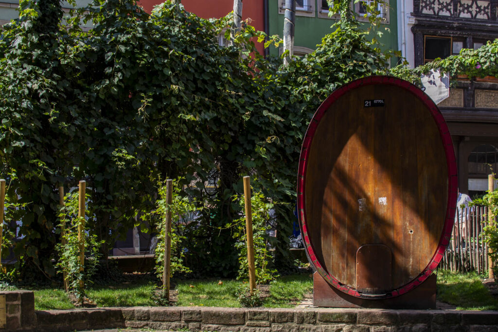 dégustations vins Strasbourg Stadtführung durch Strasbourg mit Weinproben